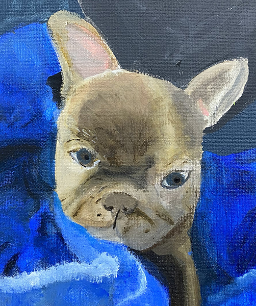 pet portrait