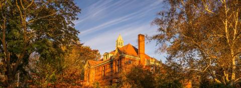 img of mystic & noank library and trees surrounding