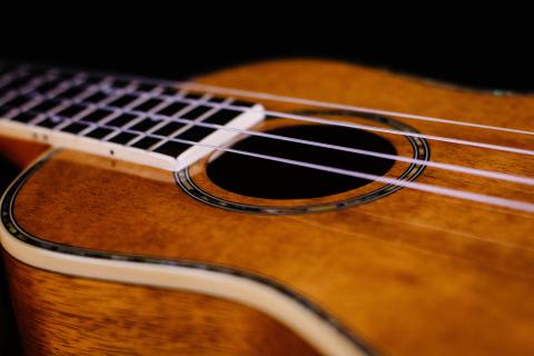 close up shot of ukulele strings and neck