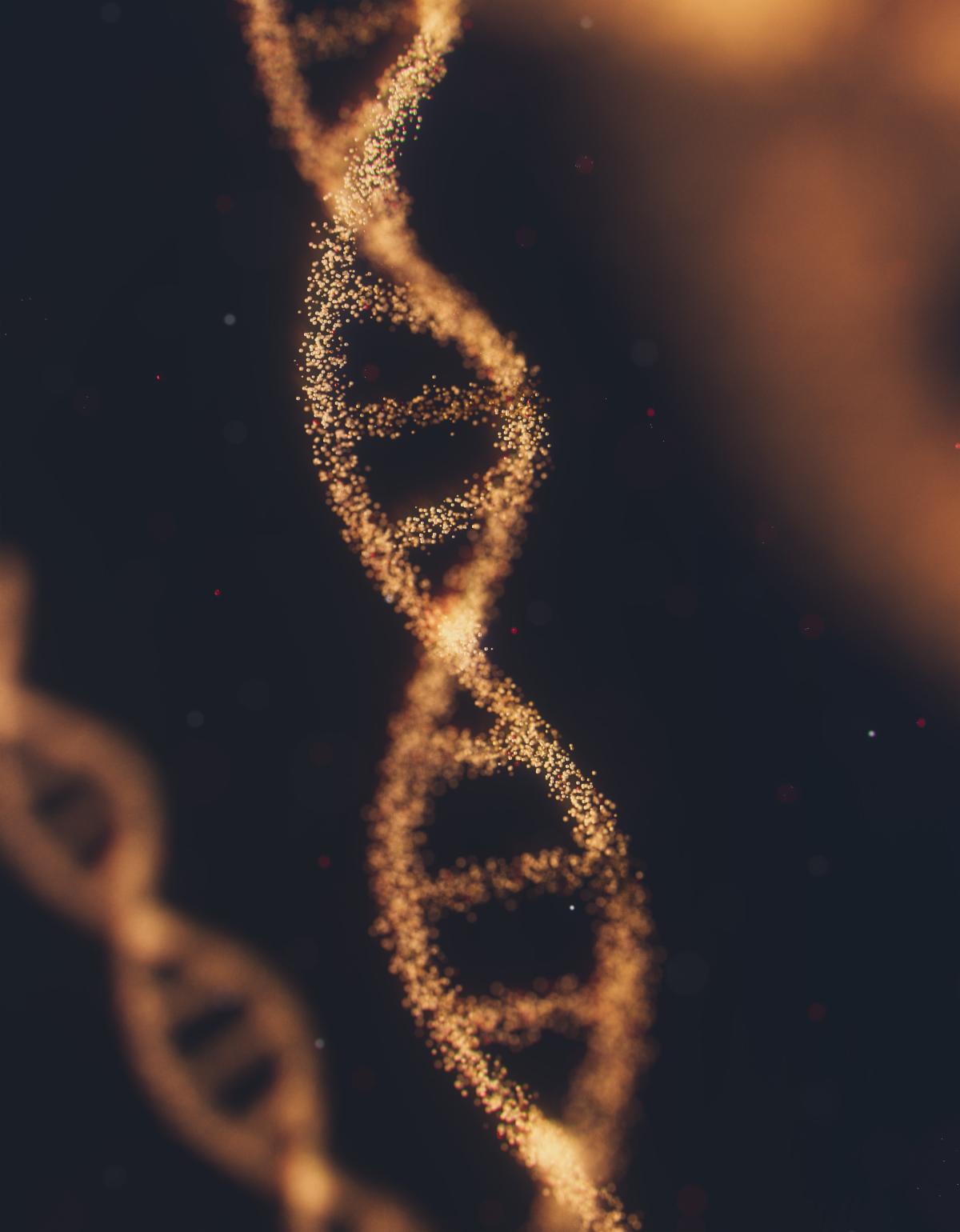 digital image of DNA helicase shape