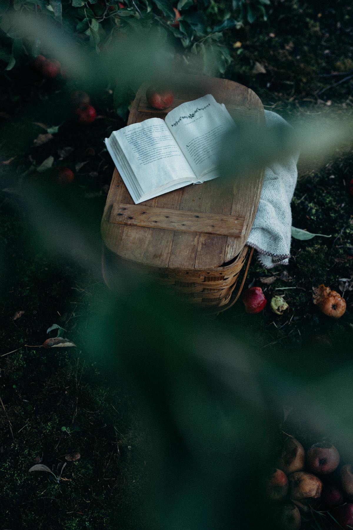 image of book pile in mossy grove